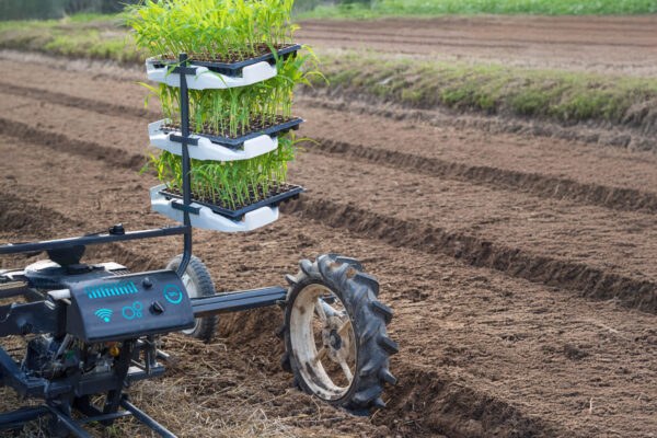 Machine agricole intelligente plantant de jeunes pousses dans un champ cultivé