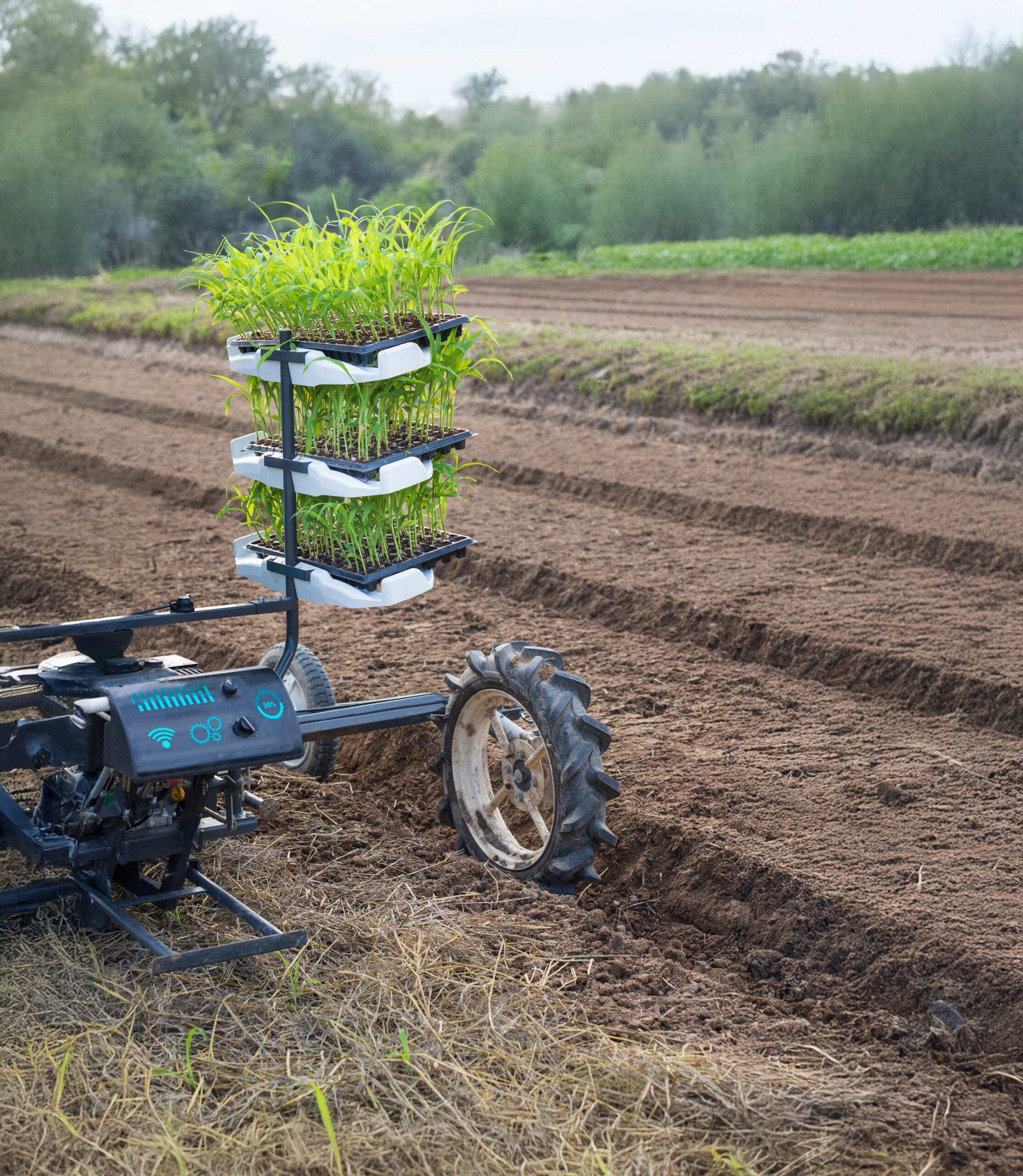 Machine agricole intelligente plantant de jeunes pousses dans un champ cultivé